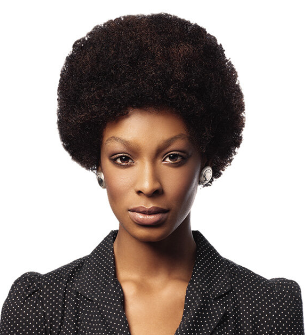 Afro Wig Human Hair